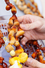 Reishi mushroom - fruiting body of medicinal fungi, used in traditional Chinese medicine.