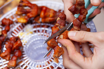 Reishi mushroom - fruiting body of Ganoderma multipileum medicinal fungi, used in traditional Chinese medicine.