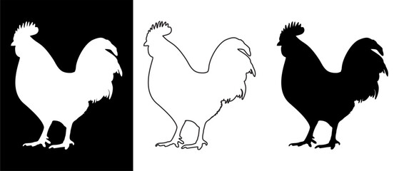 Rooster Silhouette Vector Set Black, White, and Outline Illustrations on Contrasting Backgrounds