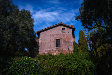 The historical landmark architectural remains and olive tree bushes in Rome