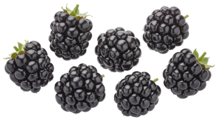 Fresh blackberry bounty bursting  png  isolated on transparent background, with flavor, perfect for summer treats and healthy snacks, vibrant and juicy