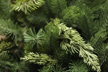 Branches of artificial Christmas tree as background, closeup