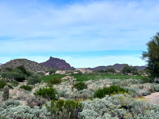 A golf course located in the southwest United States during the winter.