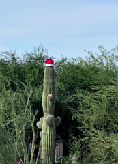 A golf course located in the southwest United States during the winter.