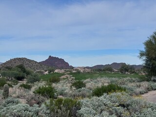 A golf course located in the southwest United States during the winter.