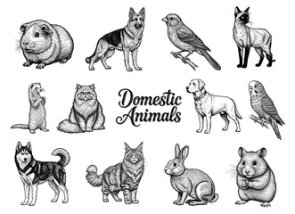 Obraz premium Domestic animals set with dog, cat, bird, rabbit and hamster engraving