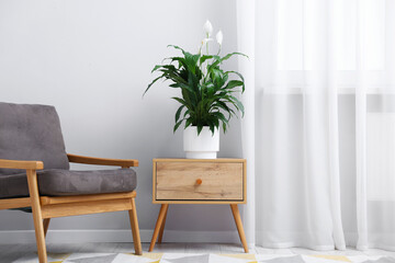 Naklejka premium Beautiful spathiphyllum (peace lily) houseplant with flowers on wooden table at home