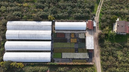Top view aerial footage of agricultural land featuring neatly arranged plastic greenhouses. Clean and organized farming scene representing modern agriculture and food production