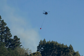 A helicopter carrying water to fight a blaze in pine trees near Goodwood, Otago NZ. Goodwood is a small coastal settlement on New Zealand's South Island.