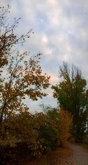 Narrow dirt path through quiet autumn park at dusk 