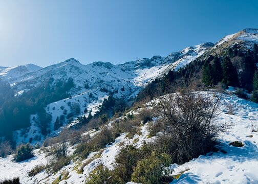Snow-covered hiking trail to Strugara mountain in southern Albania 🇦🇱❄️🏔️