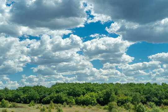 Fototapeta Expansive Summer Sky with Fluffy White Clouds Drifting Above Vibrant Green Forest and Sunny Rural Landscape