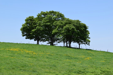 月山高原牧場 最高の眺め 山形県