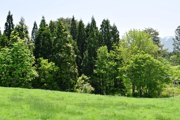 月山高原牧場 最高の眺め 山形県