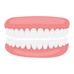 Hand-drawn illustration of a healthy human jaw with teeth, dental anatomy. Dental education, oral health guides, medical posters, clinic materials, anatomy learning