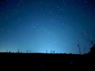 Fototapeta premium Cielo nocturno estrellado