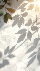 Branch with leaves casting shadows on a textured wall, sunlight shining