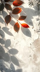 Autumn leaves casting shadows on textured white wall
