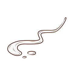 Sauce trail. Vector illustration in a contour line style. An image of drippings and a curved strip of sauce, drawn with brown lines and isolated on a white background. Suitable for menus, packaging