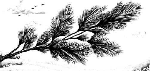 Obraz premium Intricate engraving of frost feathers branch design for winter decor