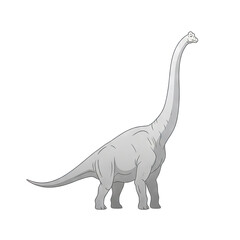 Pale Gray Brontosaurus Dinosaur Standing Tall with Long Neck and Tail Against a Black Background Simple Vector Illustration
