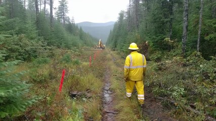 Worker clearing forest debris manually along a narrow dirt path surrounded by dense trees and greenery in a serene woodland setting.