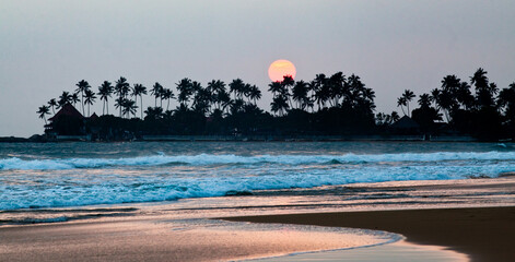 beautiful beach in the Indian ocean, Sri Lanka