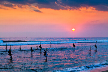 Fototapeta premium silhouettes of the traditional stilt fishermen at the sunset near Galle in Sri Lanka