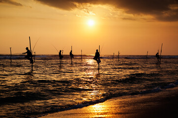 Fototapeta premium Silhouettes of the traditional stilt fishermen at sunset near Galle