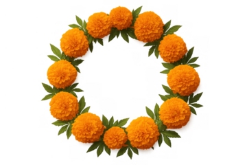 Marigold flower wreath forming a circle frame for celebrations, festivals, and botanical borders with transparent background