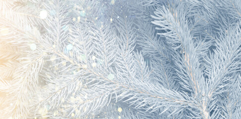 Christmas greeting card with fir tree branches and bokeh lights. Banner design