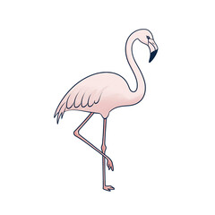 Fototapeta premium Pink Flamingo Standing on One Leg Against a Transparent Black Background Detailed Feather Texture and Elegant Curve of Neck Minimalist Design