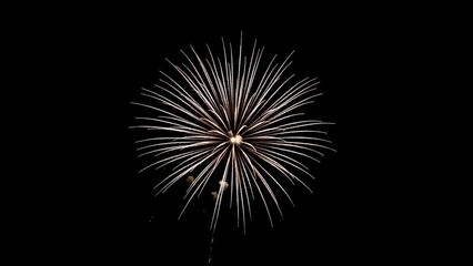 Fototapeta premium Exploding white fireworks burst against dark night sky