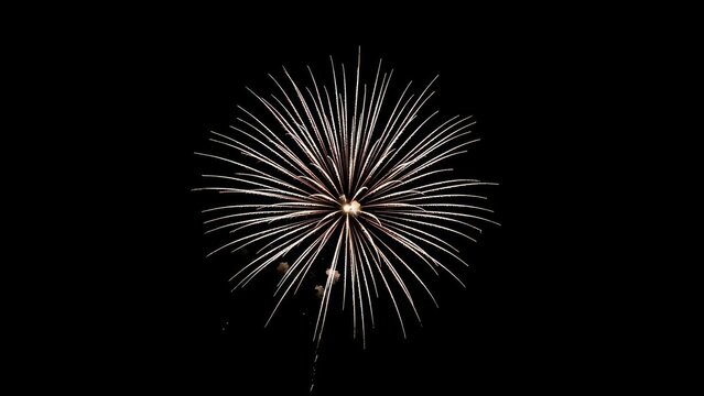 Exploding white fireworks burst against dark night sky