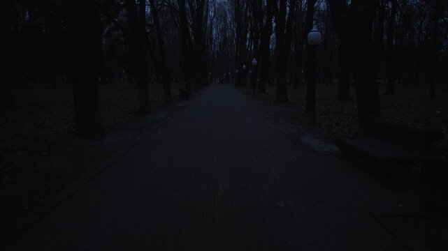 dark tree-lined park pathway at night, empty benches and dim lamps cast long shadows across damp paving, bare