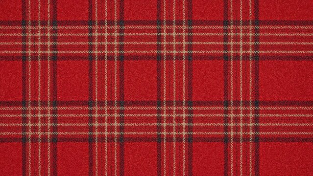Red plaid patterned textile with intersecting lines and squares designed for clothing or fabric.