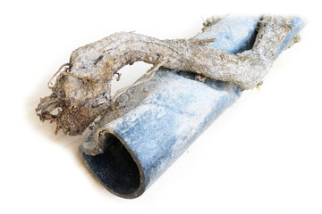 Sewer line root problems