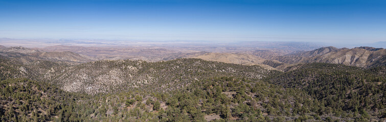 Pine Covered San Bernadino Mountains in California.dng