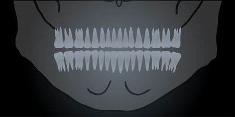 Hand-drawn X-ray illustration of a skull with teeth, dental and jaw anatomy. Dental education, medical posters, clinic materials, oral health guides, and anatomy infographic