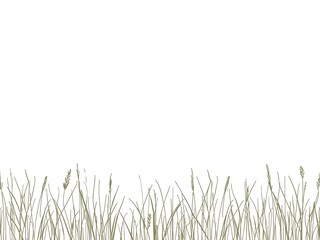 Clean line-art meadow and grass border set in a simple monochrome style.