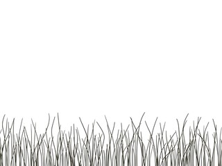 Minimal hand-drawn grass and meadow border on a clean white background.