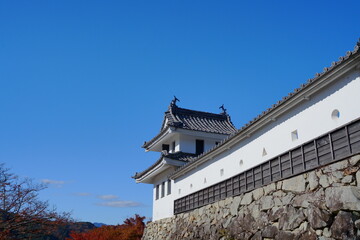 Fototapeta premium 青空を背景に立つ郡上八幡城の城郭【11月】