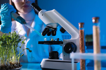 GMO concept. Scientist working with product sample in laboratory, closeup