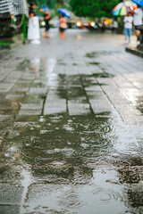 Title Raindrops on Pavement with Blurred Background