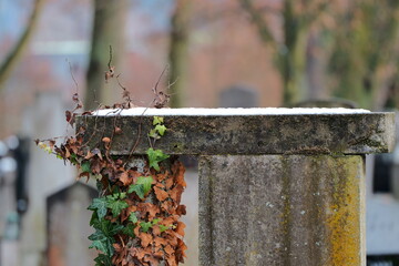 A weathered stone pillar displays clinging ivy.  Snow dusts the upper surface.  Background shows blurred tombstones.  The structure appears aged.  Light illuminates the scene