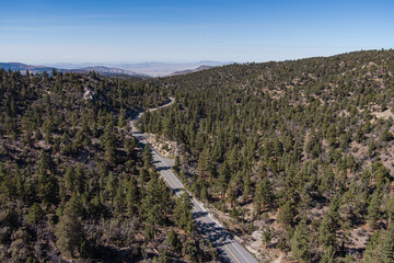 California Road through Mountain Pine Trees