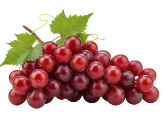 Fototapeta premium Red grapes glossy plump bunch isolated on pure white background