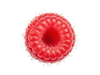 Raspberry single berry delicate red texture isolated clean white background