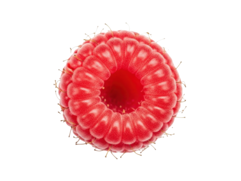 Raspberry single berry delicate red texture isolated clean white background
