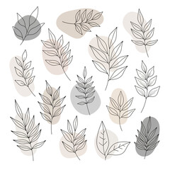 Delicate botanical line art featuring elegant branches and leaves with soft abstract shapes in a minimalist aesthetic for natural design inspiration